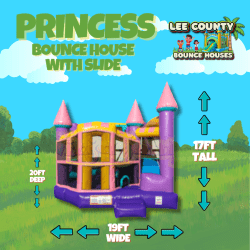 Princess Bounce House / Slide Combo
